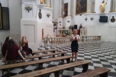 Wojewódzkie obchody 100.lecia Policji - Chełm 19.07. 2019