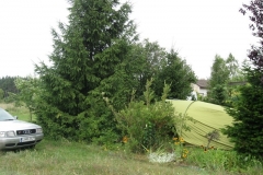 80-img_3175