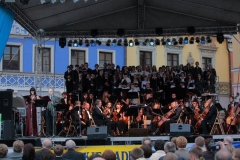 Rok 2008