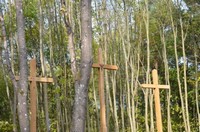 Read more about the article Uroczystość poświęcenia trzech krzyży – Gołębowiec – 16.10.2016 r.