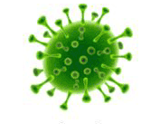 Read more about the article Ola w wywiadzie w Kronice Tygodnia – 21.04.2020