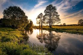 Read more about the article Czy warto… u schyłku 2011 roku.