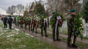 Read more about the article Przewodów 19 – 20.11.2022